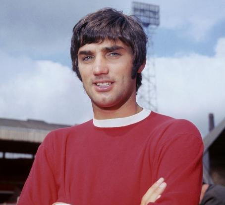 那份合同意 那份合同意