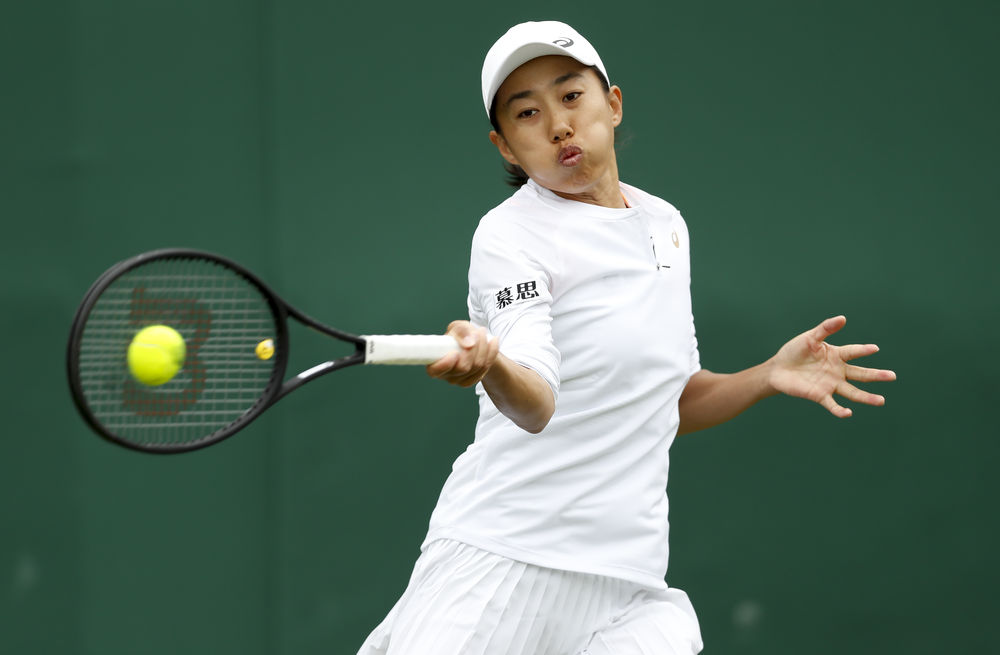 王化东的到 王化东的到