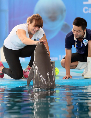 丘库埃泽常 丘库埃泽常